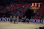 Quadrille - 00827